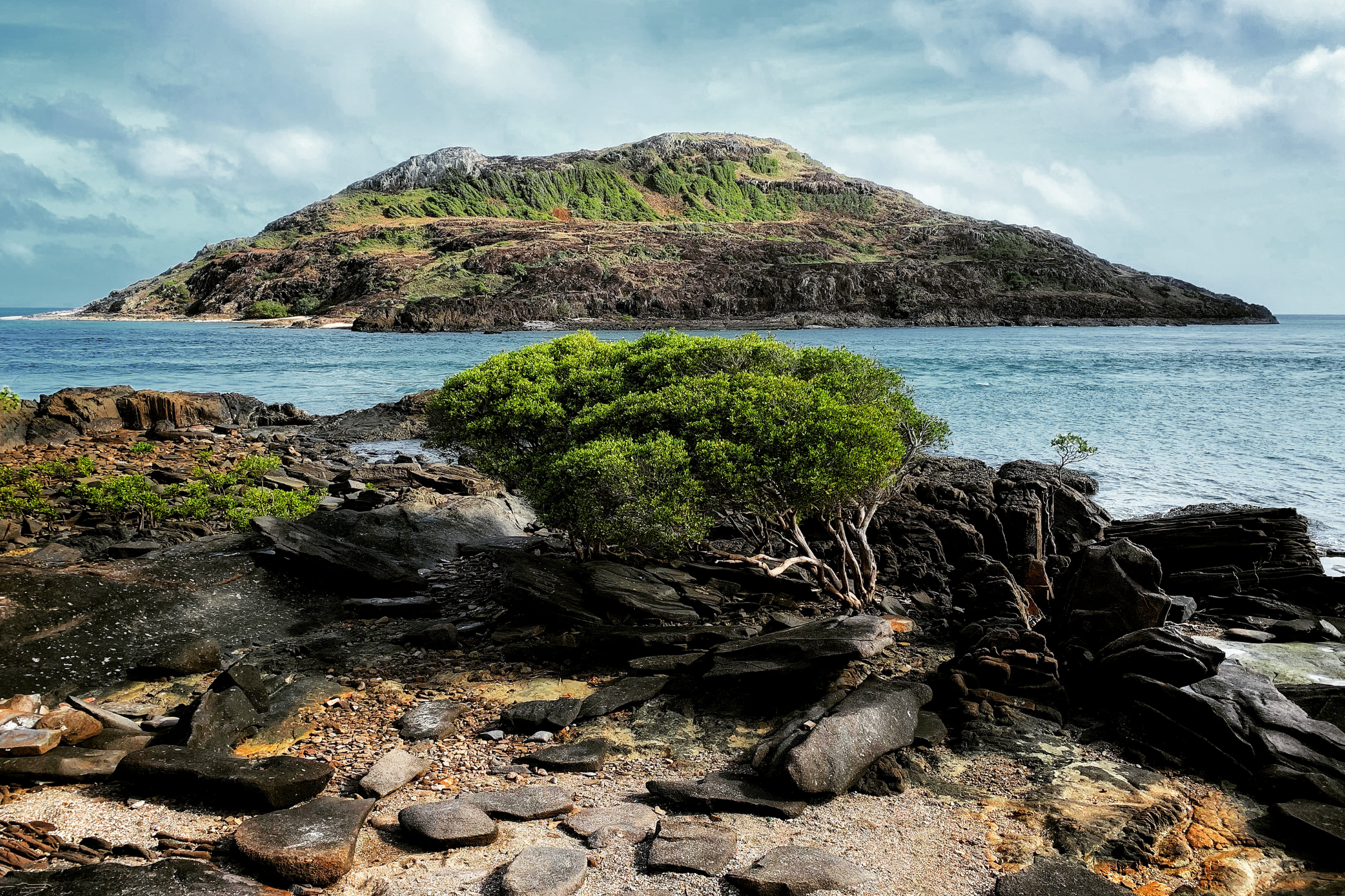 26 cape york.webp